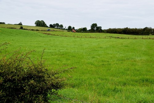 Photo 6x4 carony - photo, townland