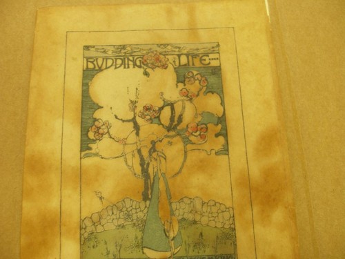 Budding life book of - life, a