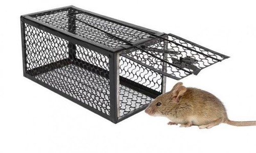Rat trap catcher metal - rat,