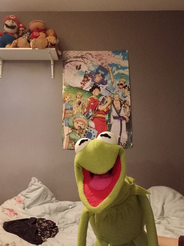 Kermit the frog green hand - ,