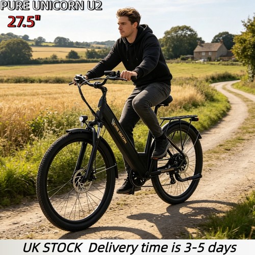 5in tires citybike - tires, e-citybike,250w