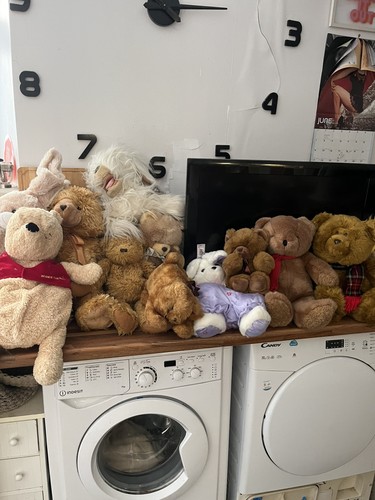 Bundle large teddy - bundle,