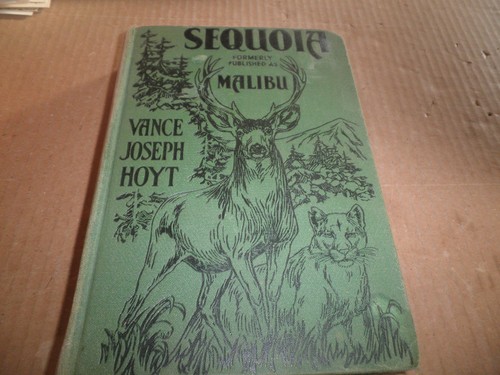 Nice sequoia formally - ,