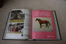 The British Racehorse  1980