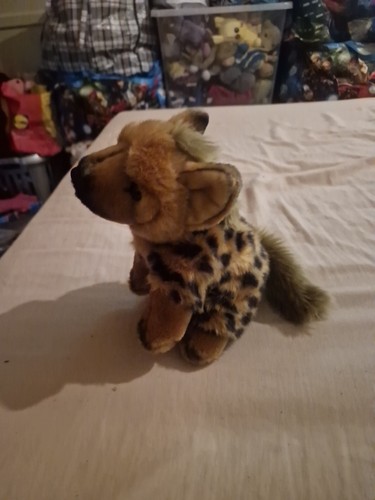 Nature planet hyena wild dog - planet, hyena/wild