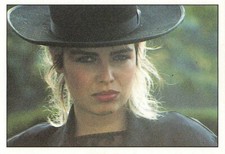 PANINI SMASH HITS COLLECTION 1987 STICKER KIM WILDE  #171 vintage original