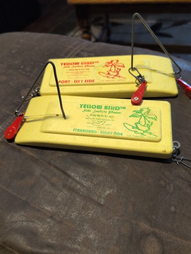Set two yellow bird side - of,