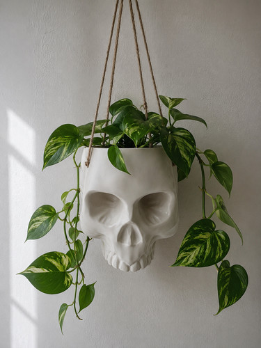 Hanging skull planter - skull,