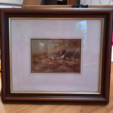 Stephen Allen Mounted And Framed Print Of Woodcock Bird. 37cm X 32cm