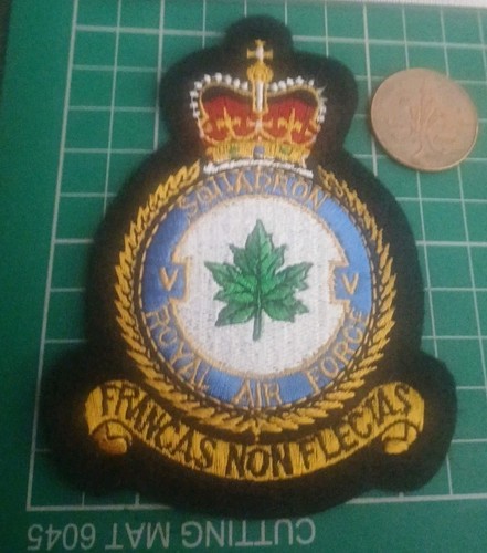 Squadron queens crown - queens,