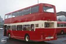 Bus Photo - Central Scottish D9 TYS262W Dennis Dominator Alex shock rear shot