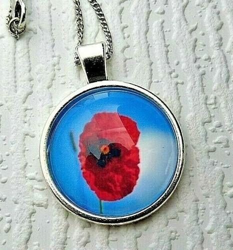 Single red poppy blue - red,
