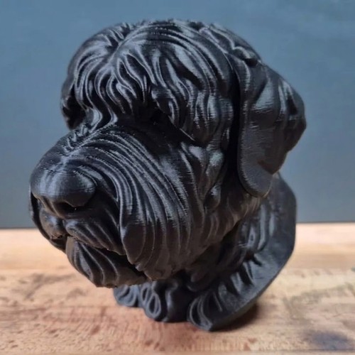 Black russian terrier - terrier, bust