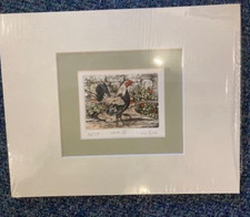 Simon Bull Cock IV Matted