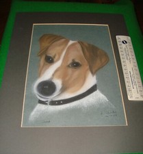 Dog watercolour Jack Russell