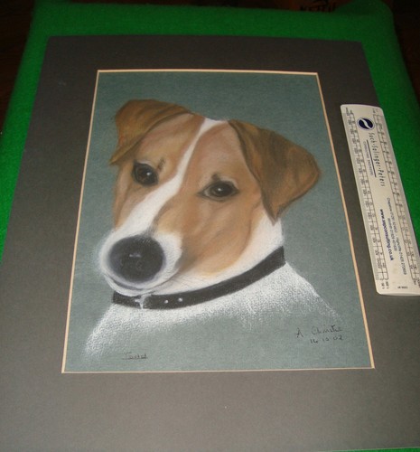 Dog watercolour jack russell - watercolour,