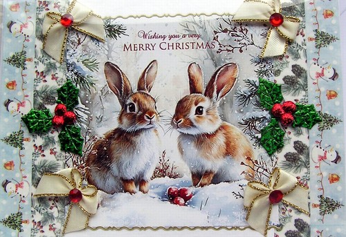 Rabbits snow hand - in,