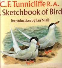 Sketchbook birds - a, of