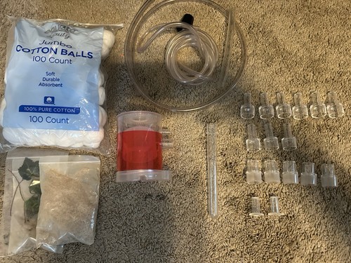 Ant colony kit - ant, from