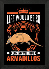 Armadillo Gift Framed Wall Art