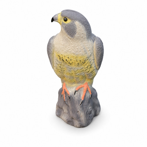 Realistic hawk decoy bird - hawk,