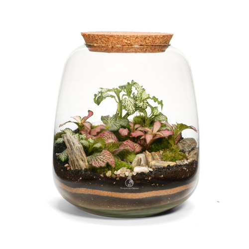 Diy closed terrarium kit - kit, 22cm