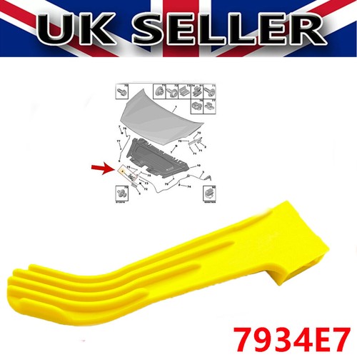 Bonnet lock catch handle - catch,
