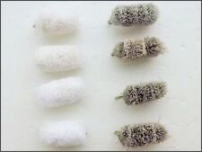 Bread Fishing Fly, 8 Pack