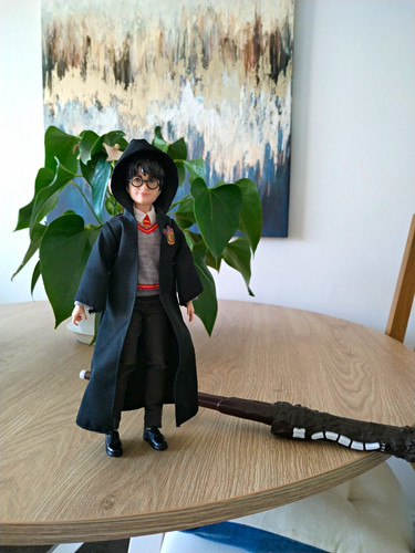 Harry potter hogwarts - harry, robes