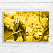 Blue gold macaw - blue, canvas