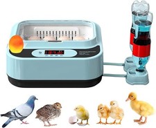 Egg Incubator for Hatching 15
