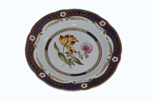 Spode botanical cabinet - spode,