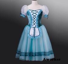Adult Professional Long Ballet