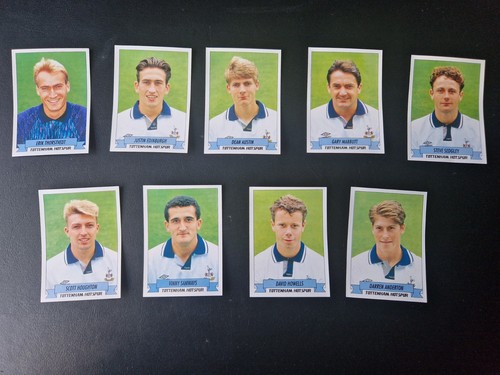Tottenham hotspur panini - tottenham,