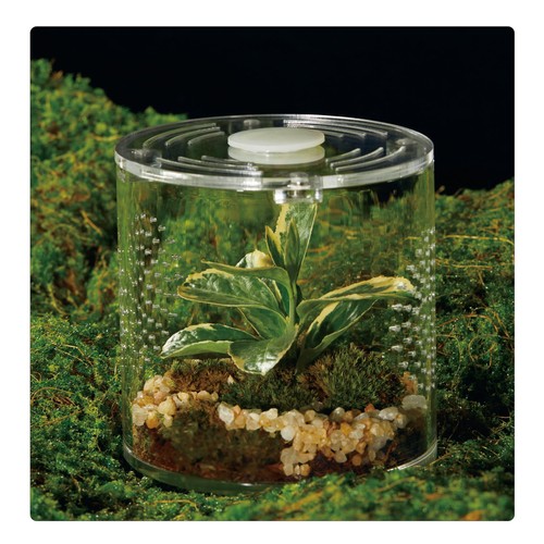 Acrylic terrarium for reptiles - terrarium,