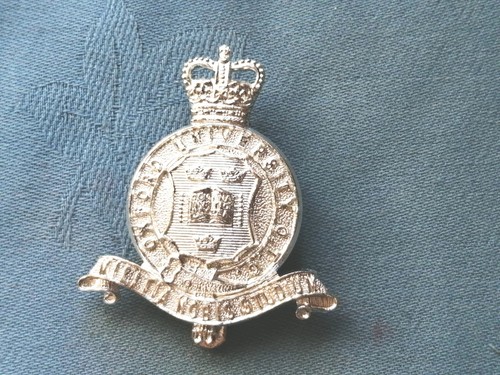 Staybright anodised cap badge - staybright/anodised,