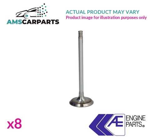 Engine exhaust valve - engine,