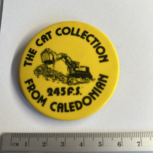 Collectible pin badge the cat - badge,