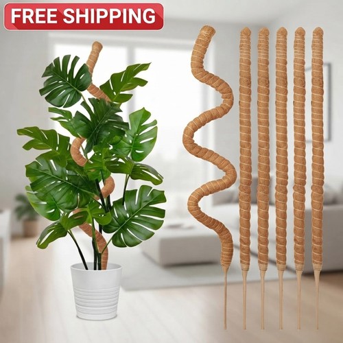 1pc bendable moss - 1pc, plant