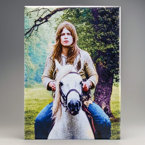 Ozzy osbourne fridge magnet - ozzy,