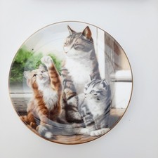 Coalport Collector's Cat Plate Going Home Contentment RSPCA
