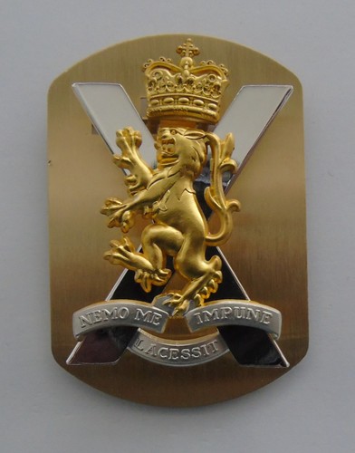 Royal regiment scotland cap - regiment,