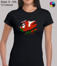 Welsh Flag Slash Novelty Wales