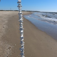 GARLANDS, Driftwood That Has
