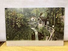 Shanklin Chine, Isle of Wight, vintage F.G.O. Stuart Postcard