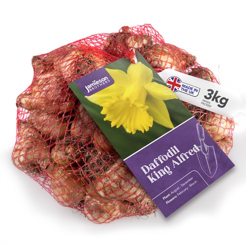 King alfred 3kg yellow - king,