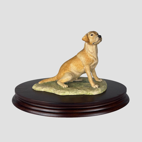 Labrador seated style one - seated,