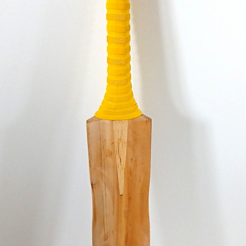 Woodworm cricket bat harrow - bat,