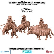 Vietnam War Water Buffalo with