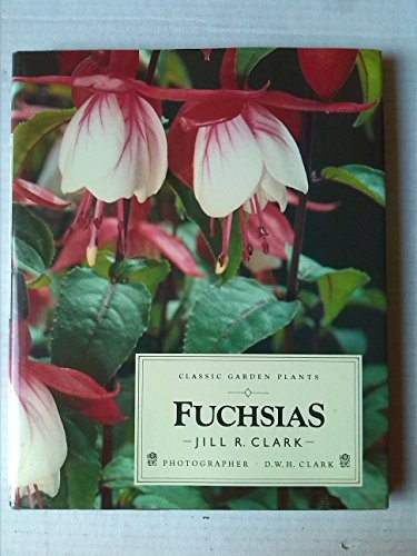 Fuchsias classic garden - fuchsias, (classic
